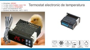 Termostat electronic controler de temperatura cu temporizare pentru clocitoare sera 220V