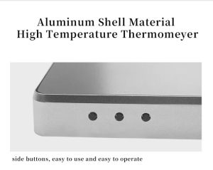 Termometru digital cu display mare 220V